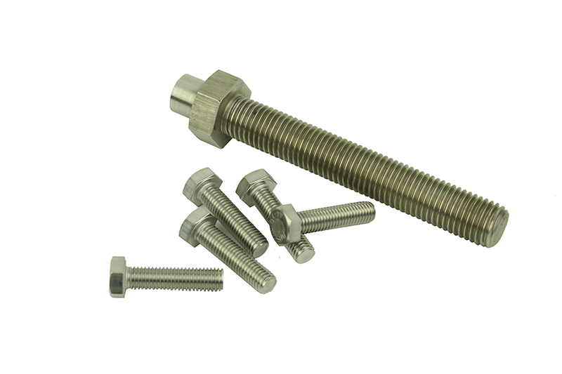Stainless Steel Bolt