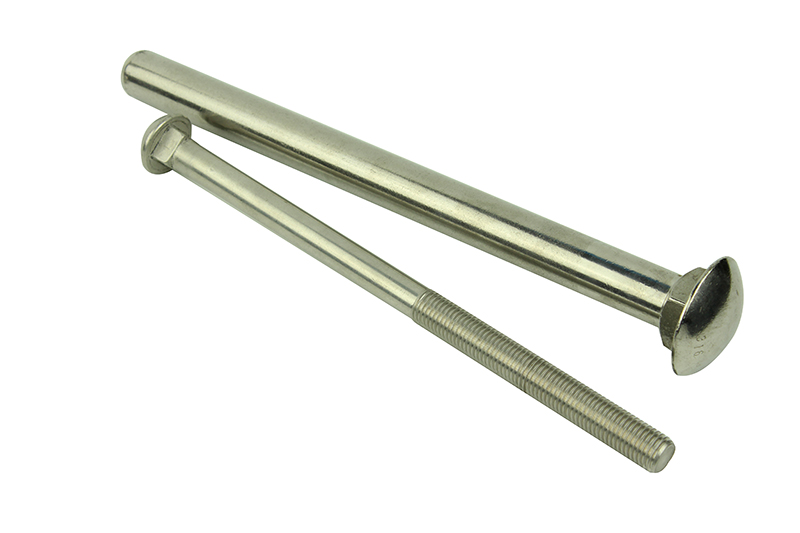Stainless Steel Carriage Bolt